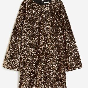 ✨ H&M Sequined A-Line Dress – Bronze/Gold, Flared Sleeves, Perfect for a Night O